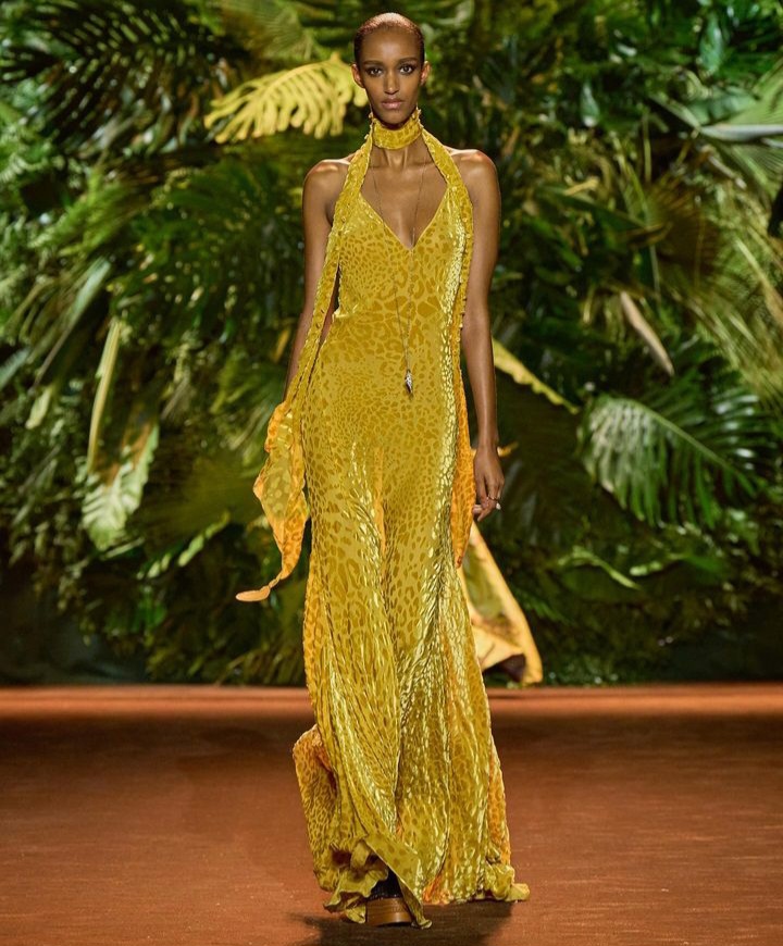 Roberto Cavalli Summer Spring 2024 Collection