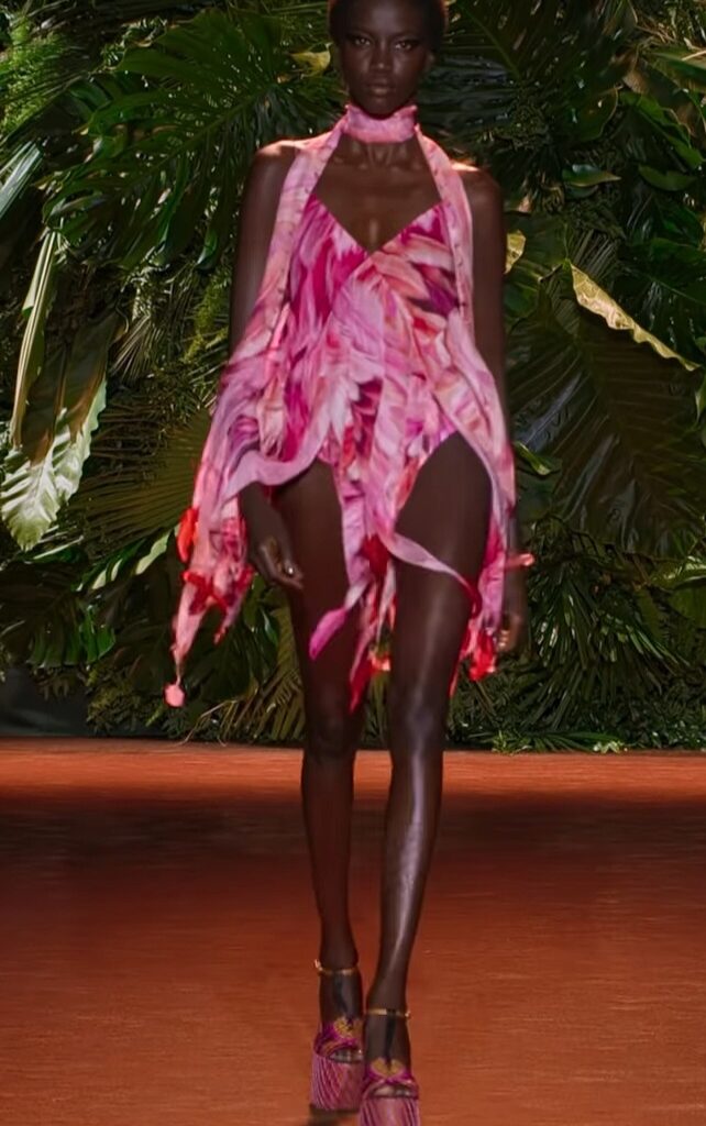 Roberto Cavalli Summer Spring 2024 Collection